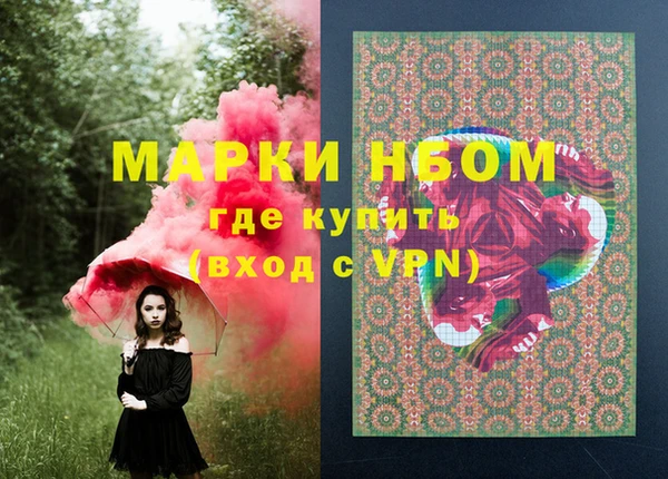 крисы Сатка