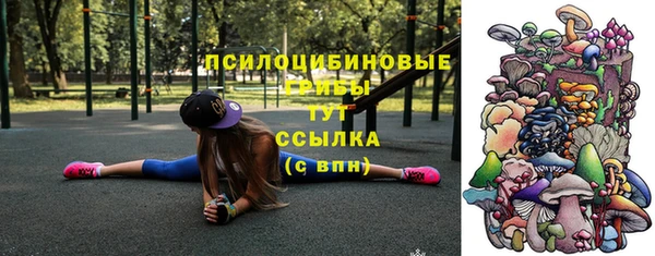 крисы Сатка